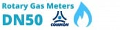 DN50 Rotary Gas Meters