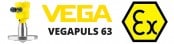 VEGA VEGAPULS 63 Radar Level Sensor