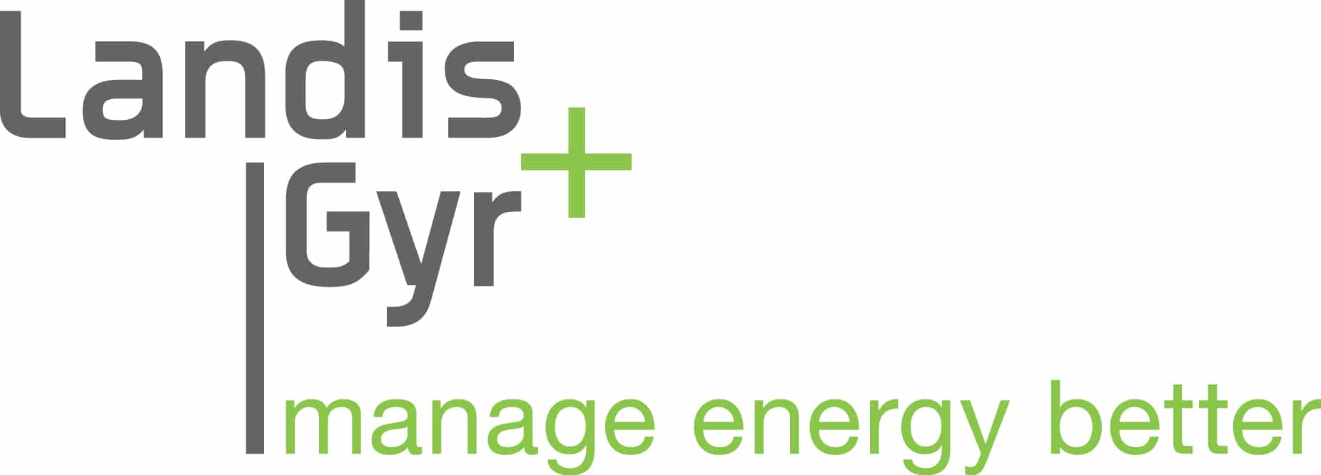 Landis + Gyr Heat Meters - RHI MID Class 2