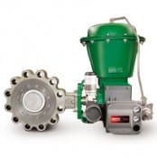 Fisher A11 Butterfly Valve – Rotary Valves