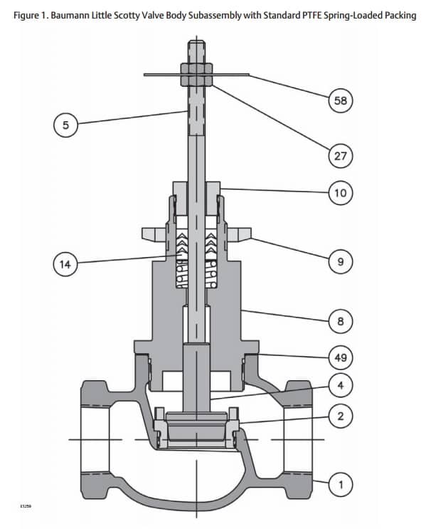 Fisher Baumann 24000 Universal Globe Valve - Valve Body