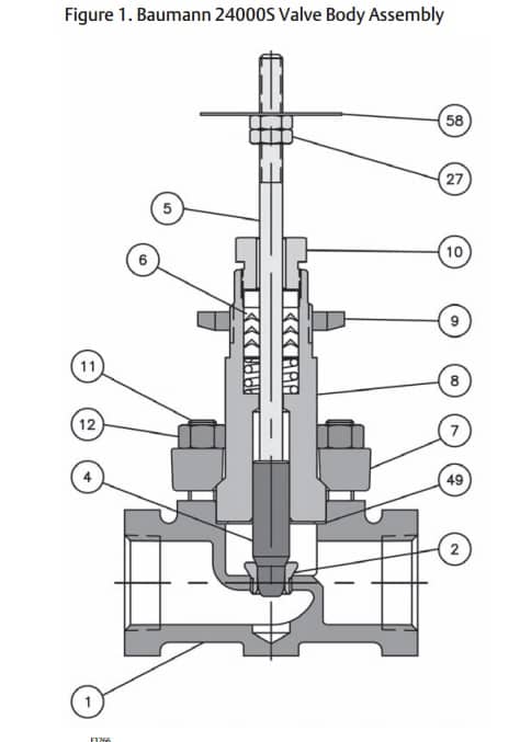Fisher Baumann 24000S Universal Globe Valve - Valve Body