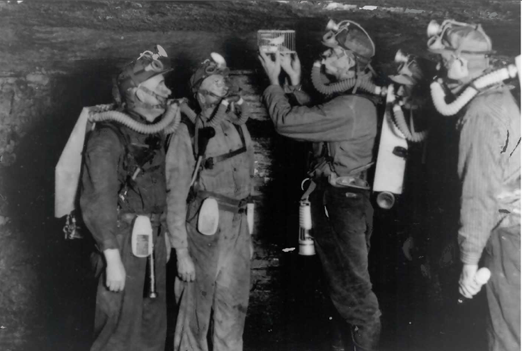 Gas Detector