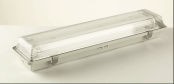 Petrel XN136/HF/EM | Zone 2 Fluorescent Light Fitting