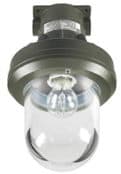 Ex d Lighting – Explosion Proof Hazardous Area Technor EV Wellglass Lighting