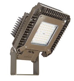 Zone 1 LED Floodlight