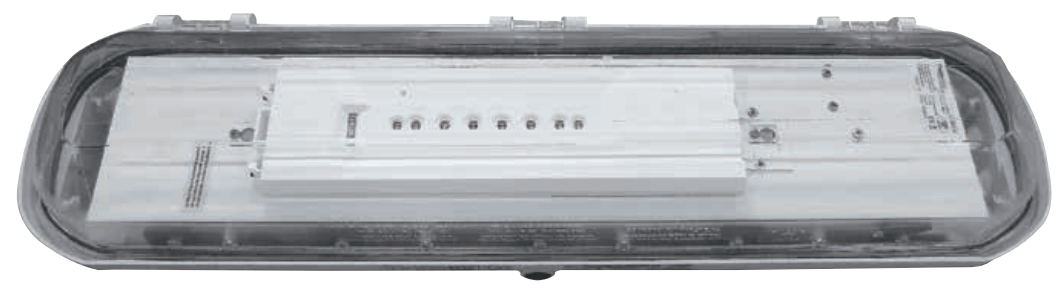 Appleton FNES LED EMERGENCY BULKHEAD LIGHTS