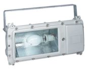 Flameproof Floodlights | Hazardous Area Lighting Zones 1 2 21 22 | ATX PB Series