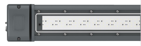 Raytec SPZ Standard Variant