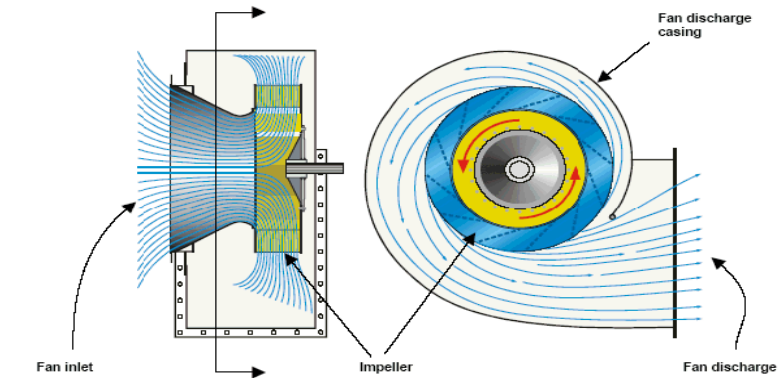 Velocity Profile Through A Centrifugal Fan