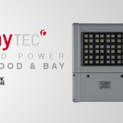 Raytec Mid Power